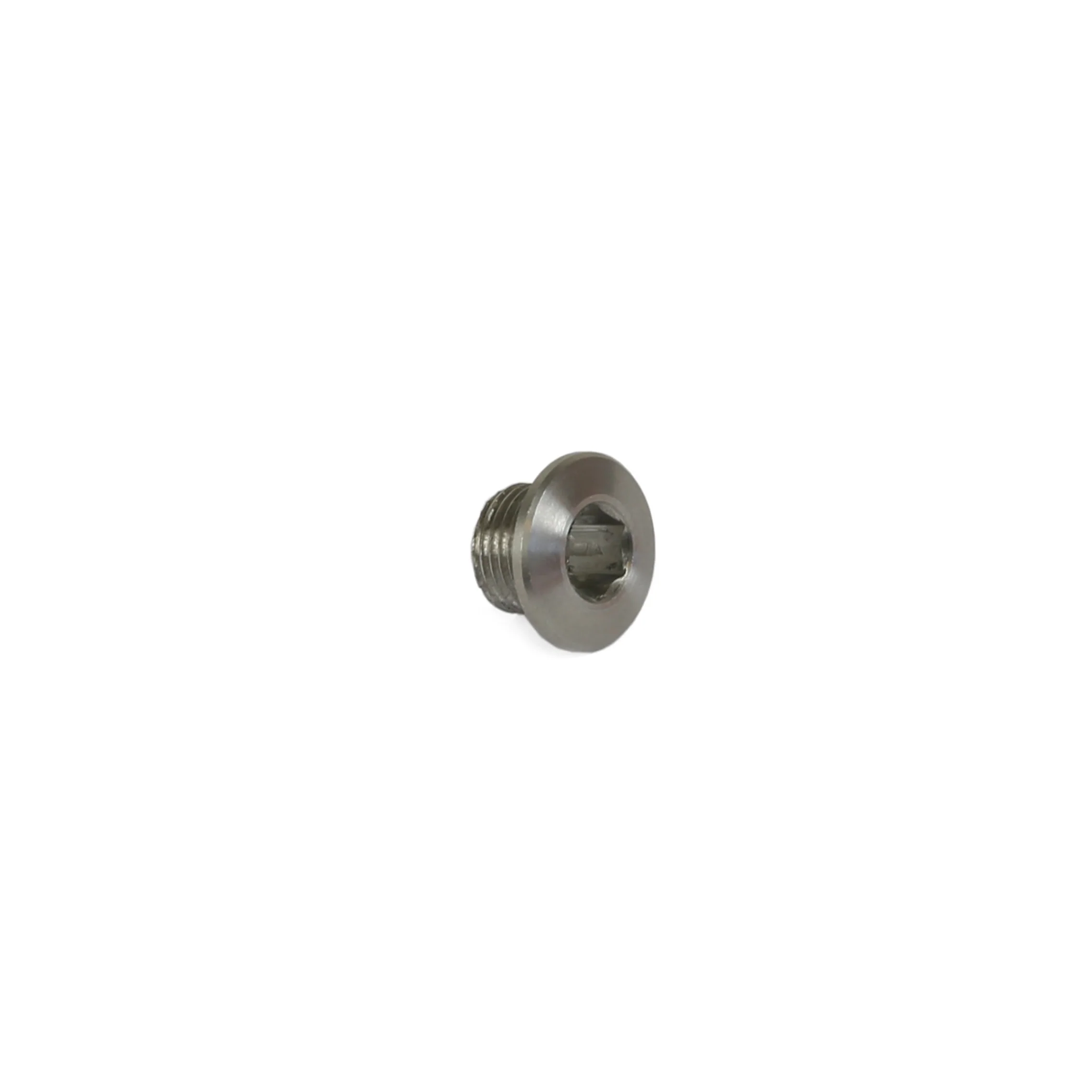 Chainring Bolts